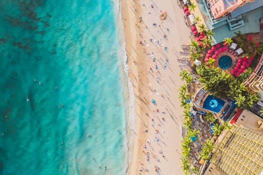 Hotels Surrounded by Palm Tree Shorelines