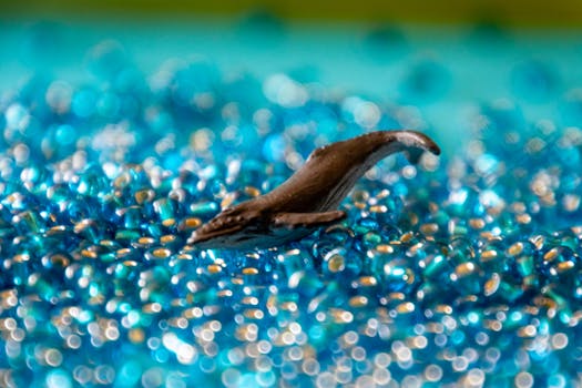 Hotels That Use Ocean Plastic as Art Interiors