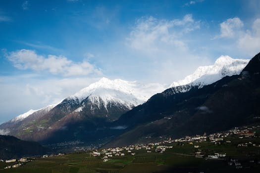 Resorts Surrounded by Alpine Sunflower Meadows