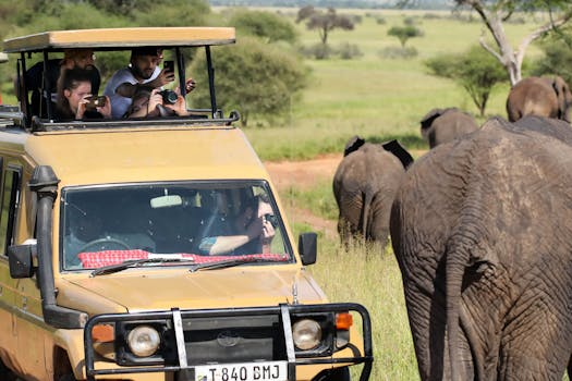 Resorts That Provide Private Wildlife Photographers