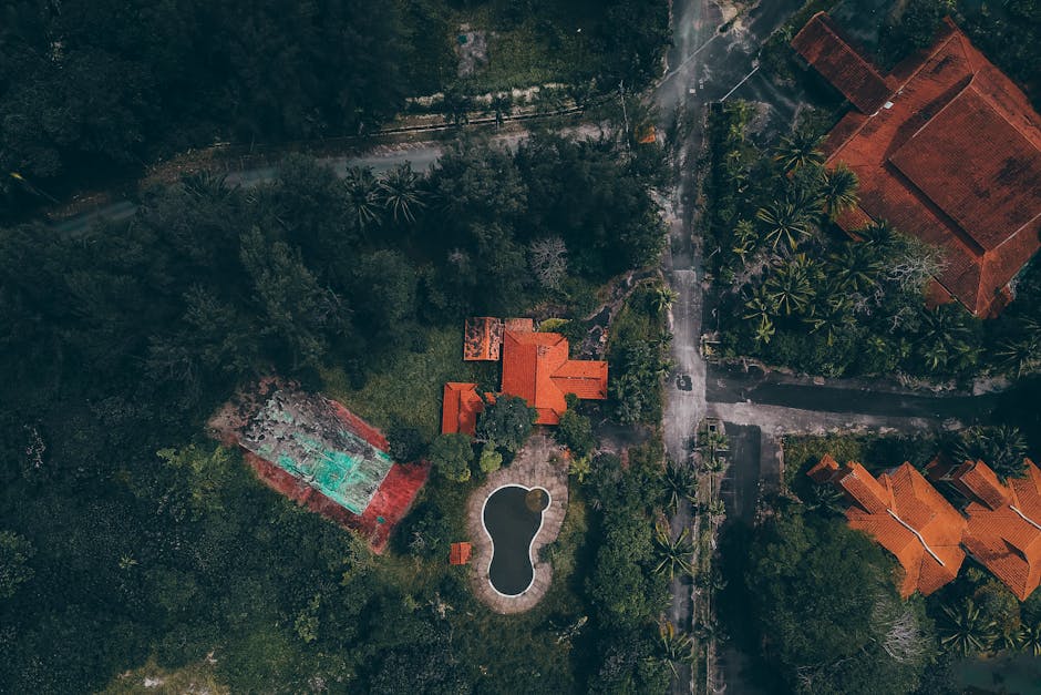 Treehouse Villas Suspended Over Jungle Rivers