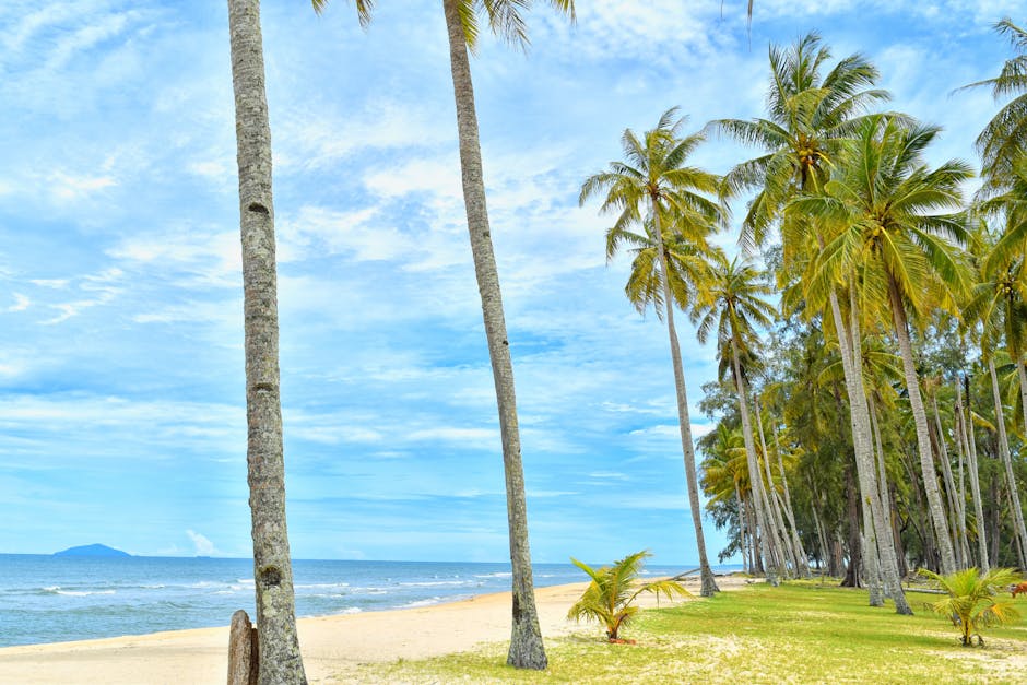 Villas Surrounded by Coconut Grove Beaches