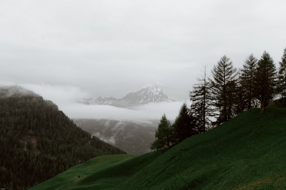 Villas Surrounded by Misty Highland Valleys